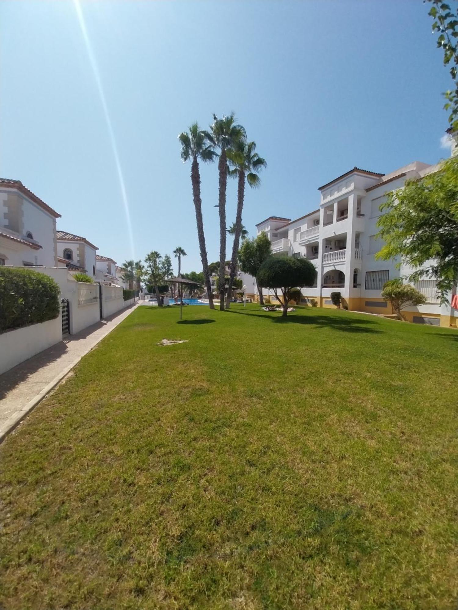 Charming Apartment In Front Of Villamartin Golf And Plaza Eksteriør billede
